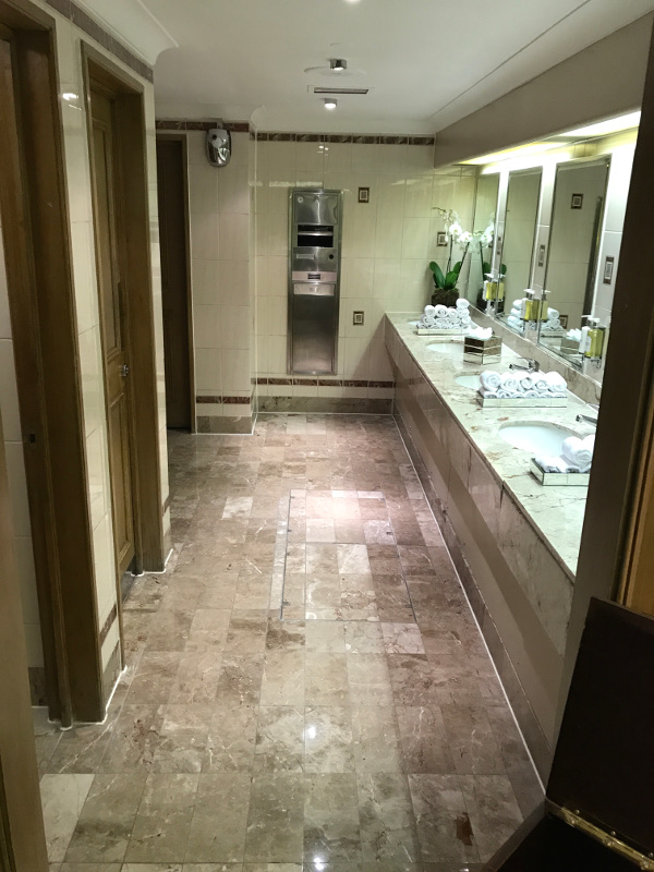 before-full-toilet-refurbishment-london-victoria-areas